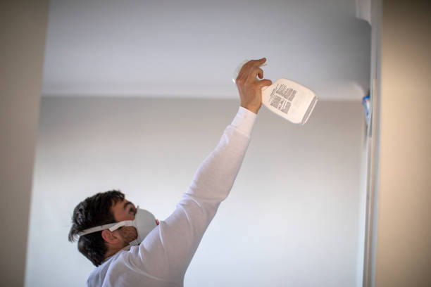 Best Mold Remediation for Schools in Vine Hill, CA