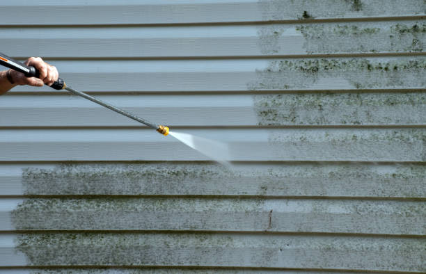 Best Mold Remediation for Specific Building Types in Vine Hill, CA